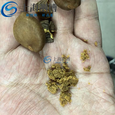 冷冻组织研磨仪对山茶籽研磨实验步骤及效果-上海测博
