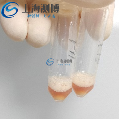 ​科研院所使用冷冻研磨仪对小鼠皮肤组织研磨实验|人类疾病研究