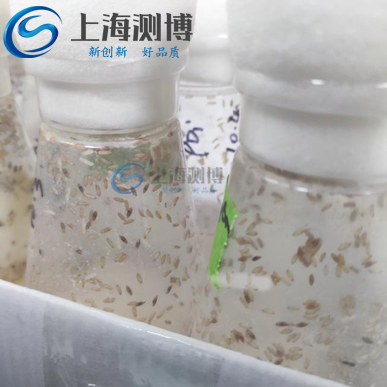 冷冻研磨仪对果蝇前处理实验操作